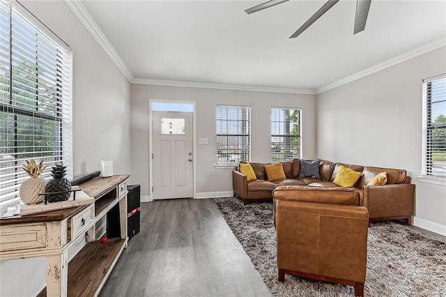 living room with dark hardwood / wood-style flooring, ornamental molding, and ceiling fan