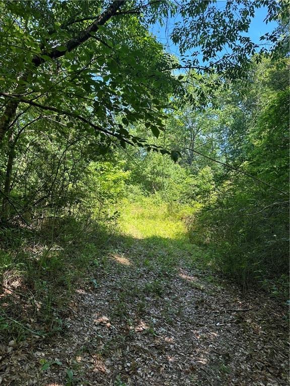 21.216ACRES Lawrence Creek Rd, Franklinton, LA 70438 - photo 3