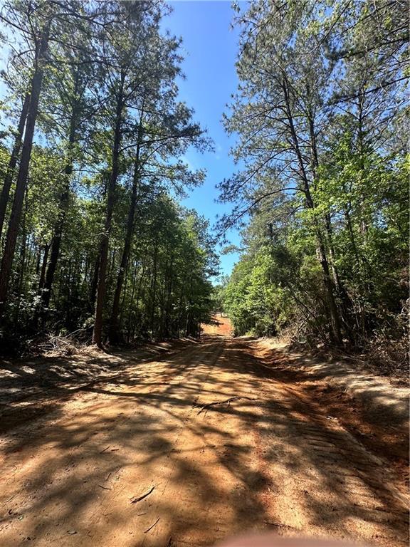 21.216ACRES Lawrence Creek Rd, Franklinton, LA 70438 - photo 4