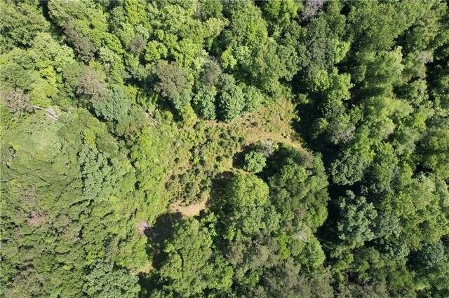 21.216ACRES Lawrence Creek Rd, Franklinton, LA 70438 - photo 5