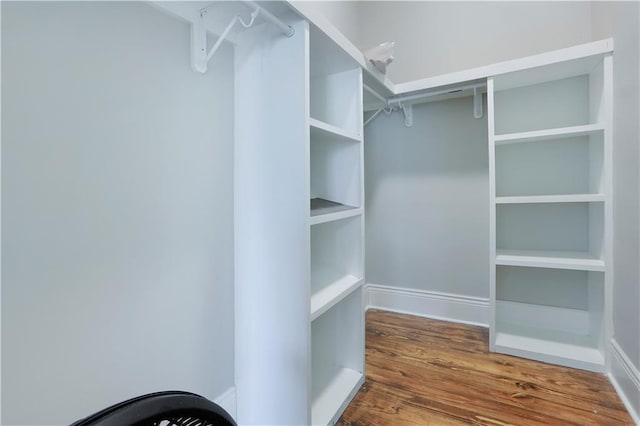 walk in closet featuring dark hardwood / wood-style flooring