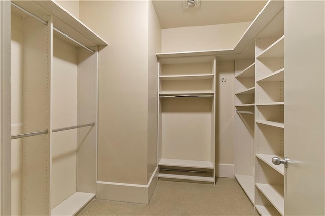 spacious closet with light carpet