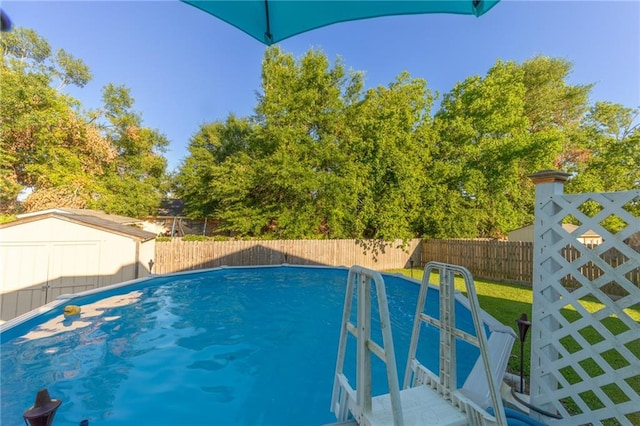 view of swimming pool with a shed