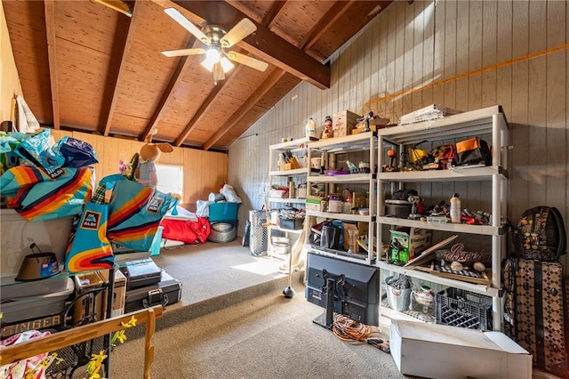 storage room featuring ceiling fan