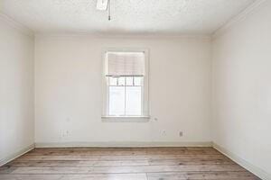 unfurnished room featuring light hardwood / wood-style floors and crown molding