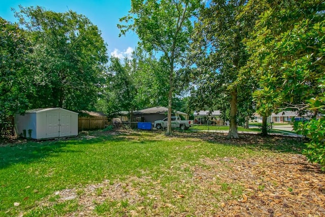 view of yard with a storage unit