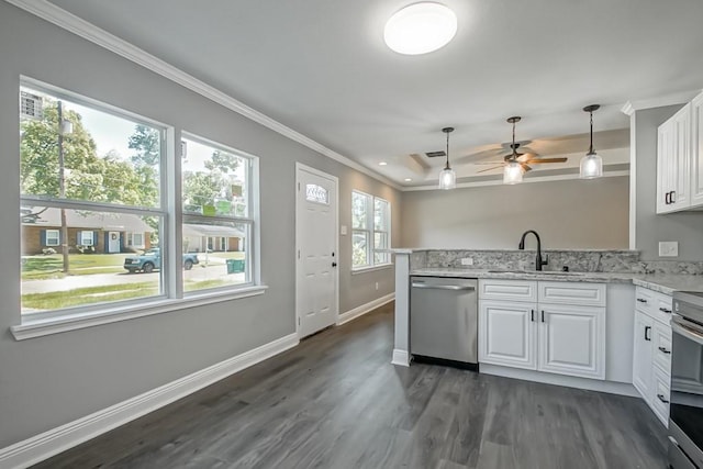 kitchen with stainless steel dishwasher, white cabinets, dark hardwood / wood-style floors, pendant lighting, and sink