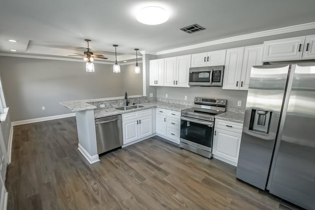 kitchen with dark hardwood / wood-style floors, kitchen peninsula, ceiling fan, appliances with stainless steel finishes, and sink