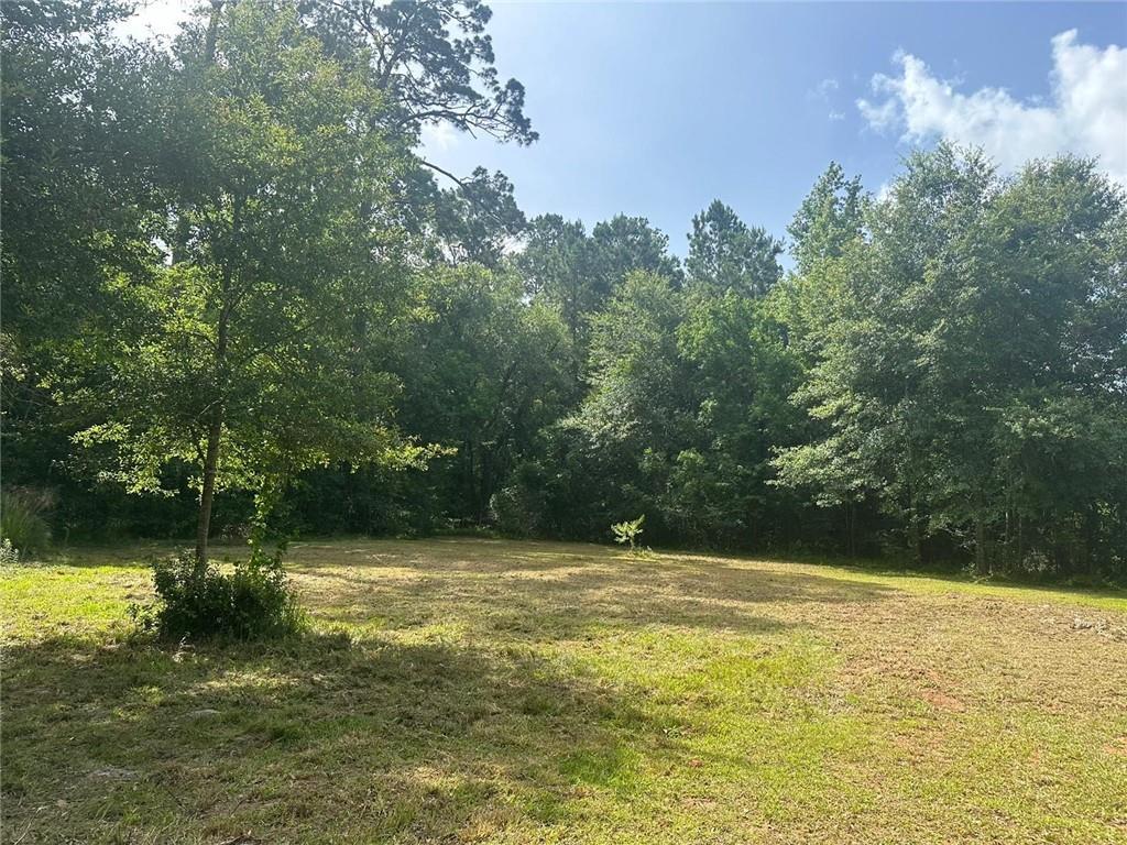 19504 Short St, Covington, LA 70433 - photo 3