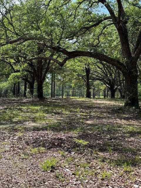 13421 La Highway 25, Franklinton LA, 70438 land for sale