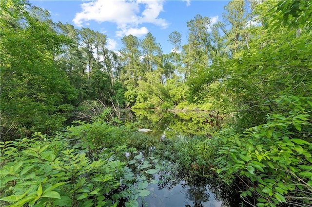 view of nature featuring a water view and a view of trees