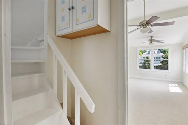 stairway featuring carpet floors