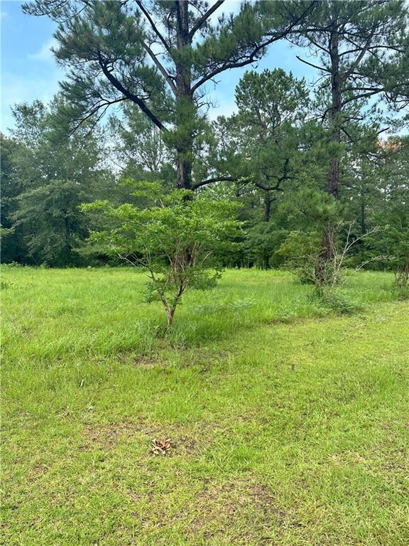 000 Greentree Dr, Bogalusa LA, 70427 land for sale