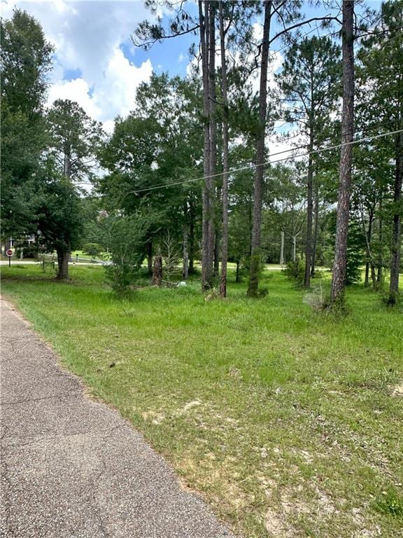 00 Peach Orchard Rd, Bogalusa LA, 70427 land for sale