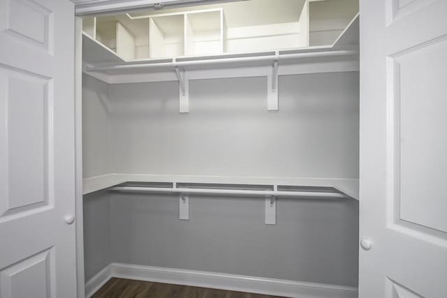 spacious closet featuring dark wood-style floors