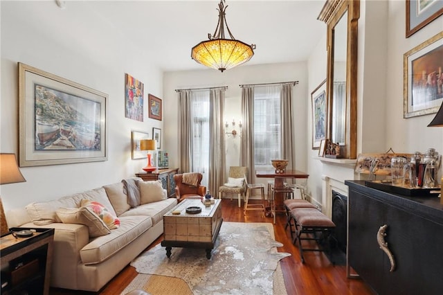 living room with wood-type flooring