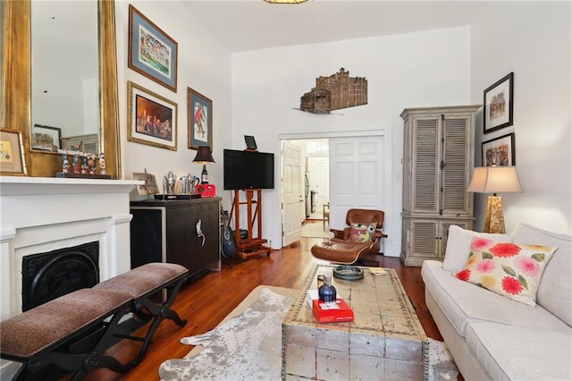 living room with wood-type flooring