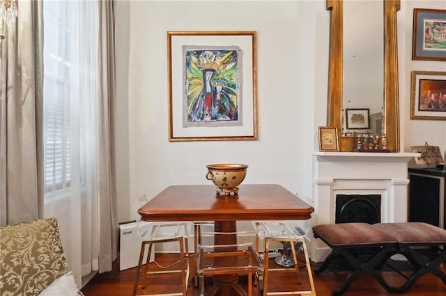 dining room featuring wood-type flooring