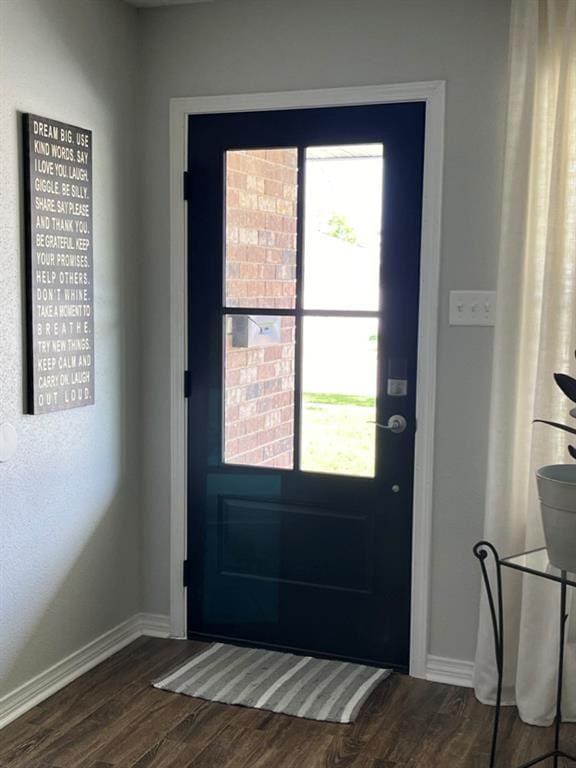 entryway featuring wood-type flooring