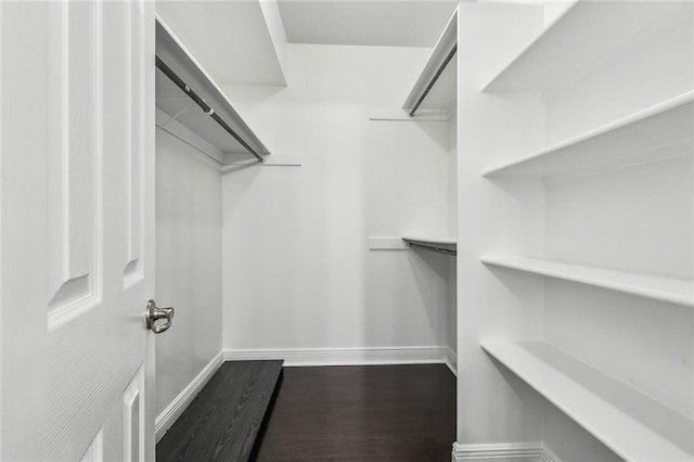 walk in closet featuring hardwood / wood-style floors