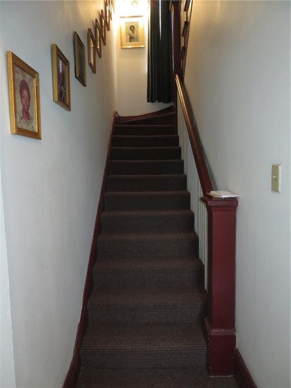 stairway featuring carpet flooring