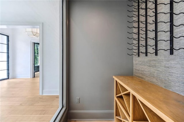 wine cellar featuring light wood-type flooring