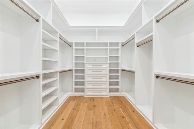 spacious closet featuring light hardwood / wood-style floors