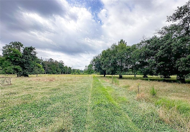 13.19ACRES42387 Bateman Rd, Franklinton LA, 70438 land for sale