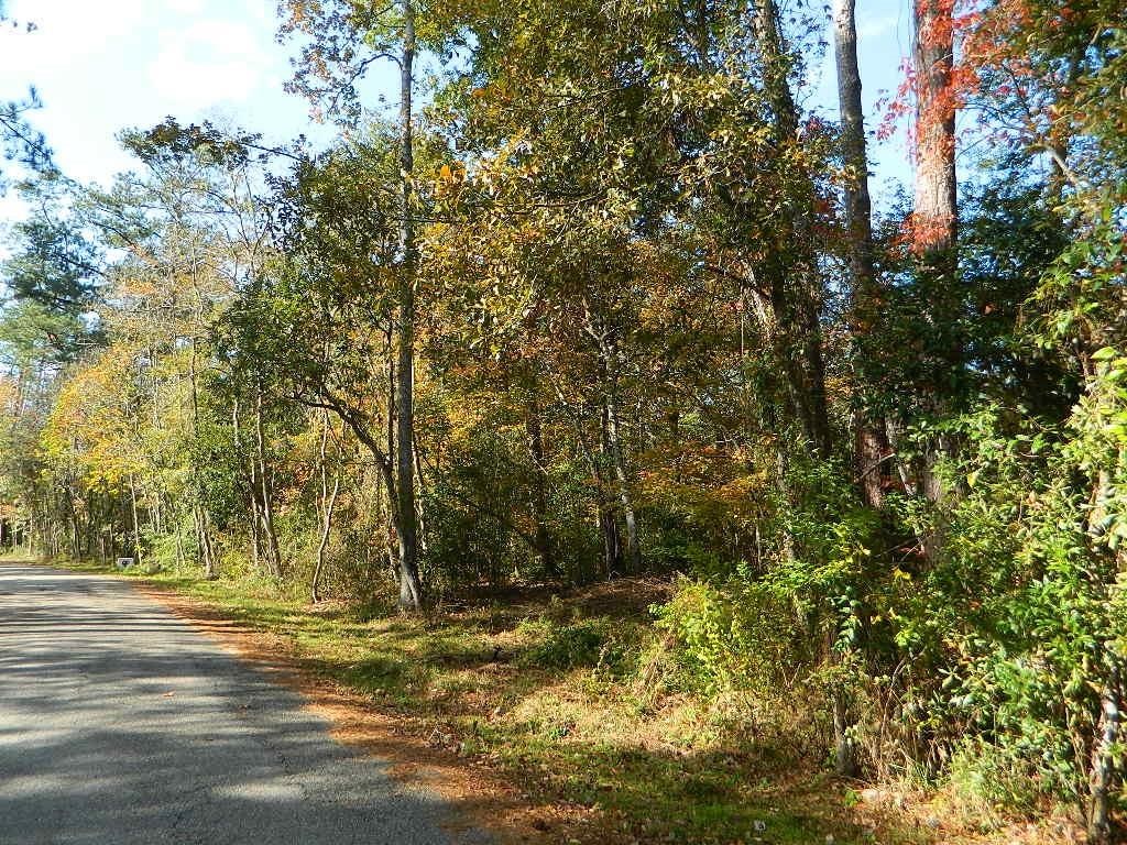 LOTS158 Bogue Falaya Dr, Covington, LA 70433