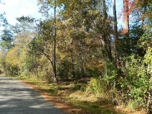 LOTS158 Bogue Falaya Dr, Covington, LA 70433