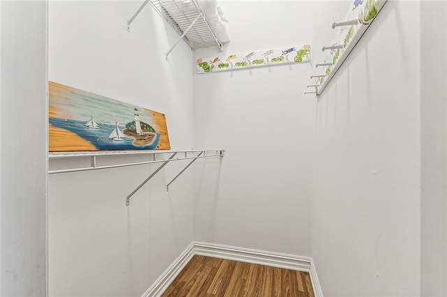 spacious closet with wood-type flooring