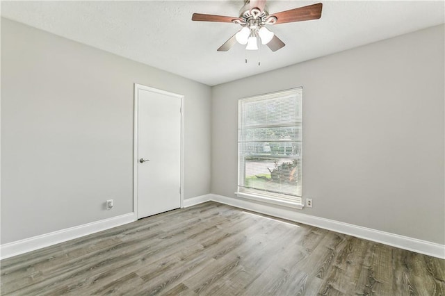 spare room featuring wood-type flooring and ceiling fan