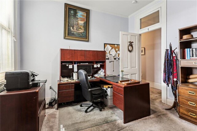 carpeted office space featuring crown molding