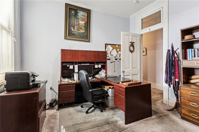 carpeted office featuring crown molding