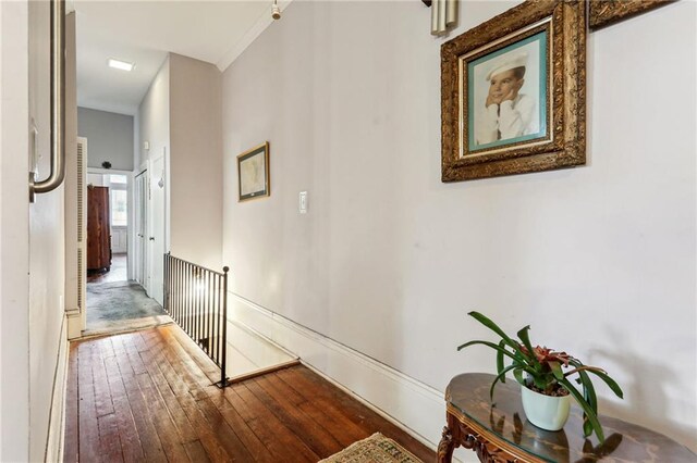 hallway featuring crown molding and hardwood / wood-style floors