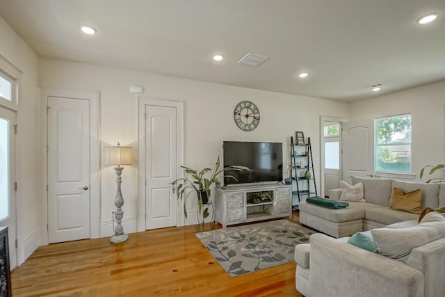 living room with wood-type flooring