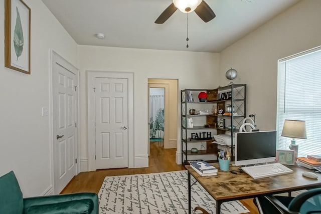 office area featuring ceiling fan and light hardwood / wood-style flooring