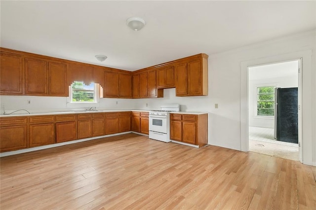 kitchen with a wealth of natural light, sink, white range with gas stovetop, and light wood-type flooring