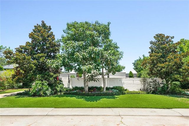 view of front facade with a front yard