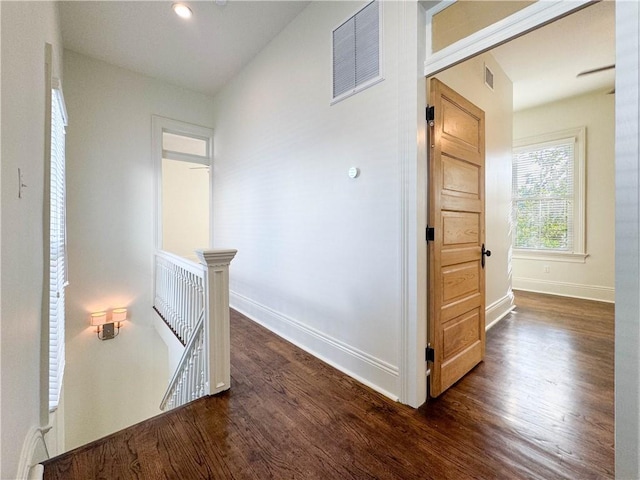 hall featuring dark hardwood / wood-style flooring