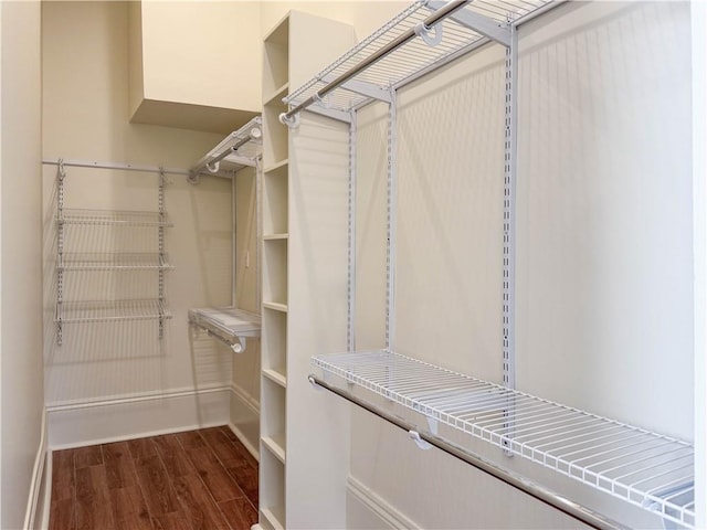 spacious closet featuring dark hardwood / wood-style flooring