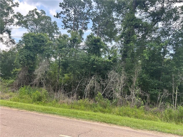 Blanche Dr, Ponchatoula LA, 70454 land for sale