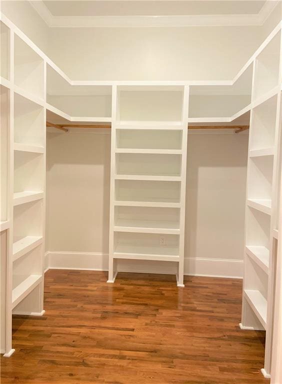 spacious closet with hardwood / wood-style flooring