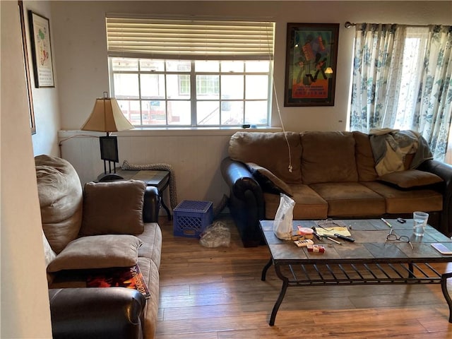 living room featuring hardwood / wood-style floors