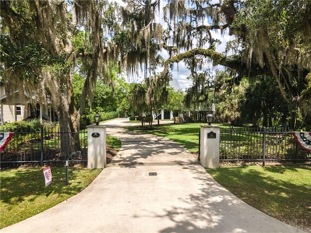 view of community with a yard