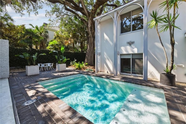 view of swimming pool featuring a patio