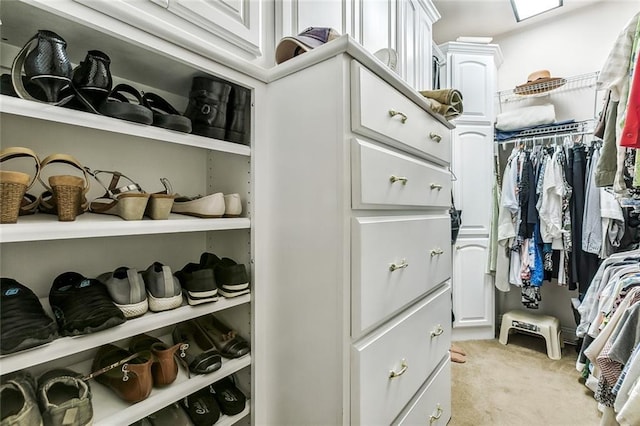 walk in closet with light carpet