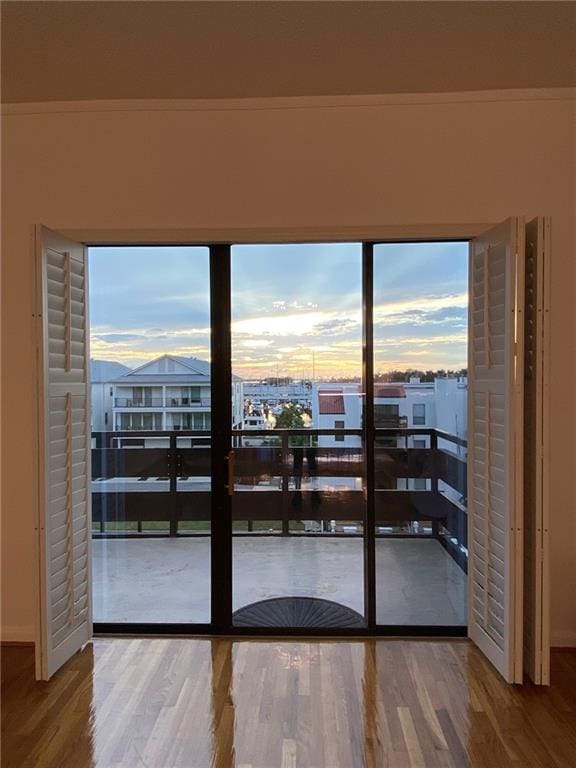 entryway featuring hardwood / wood-style flooring