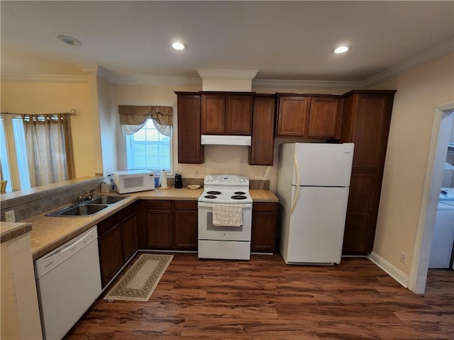 kitchen featuring crown molding, sink, dark wood-type flooring, and white appliances