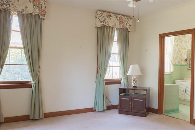 interior space featuring multiple windows and connected bathroom